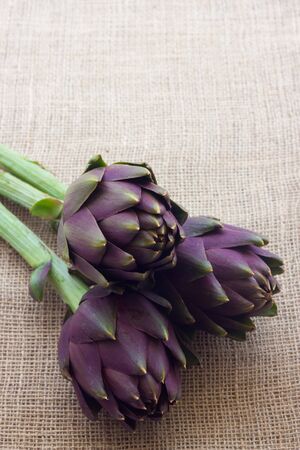 Artichokesの写真素材