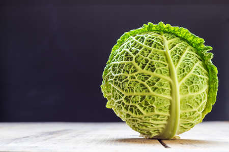 Savoy cabbageの写真素材