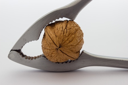 A close up view of a nutcracker crushing a nutの写真素材