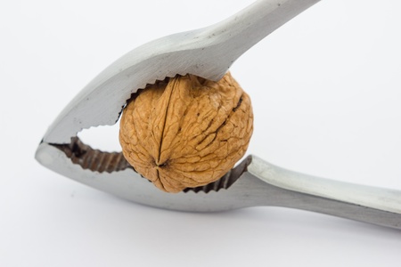 A close up view of a nutcracker crushing a nutの写真素材