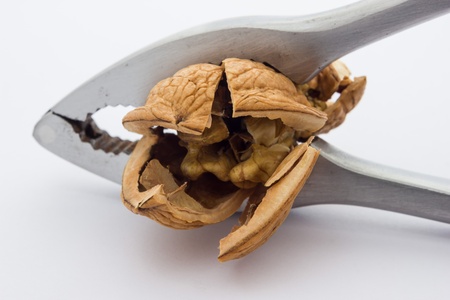 A close up view of a nutcracker crushing a nutの写真素材