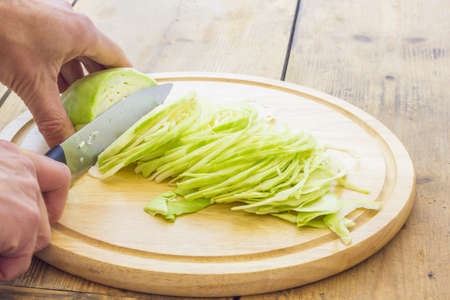 White cabbageの写真素材