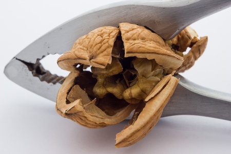 A close up view of a nutcracker crushing a nutの写真素材