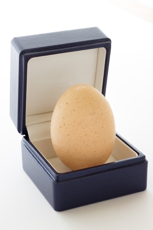 A egg gift from nature with white background の写真素材