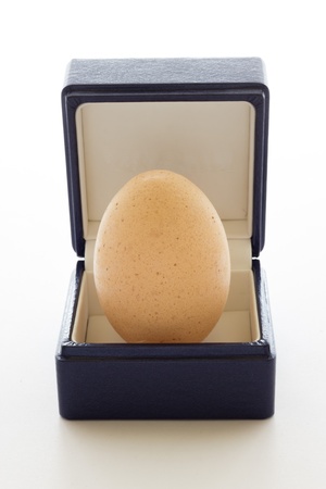 A egg gift from nature with white background の写真素材