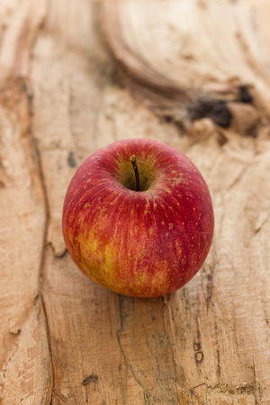 A close up view of an appleの写真素材