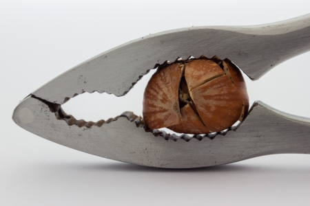 A close up view of a nutcracker crushing a hazelnutの写真素材