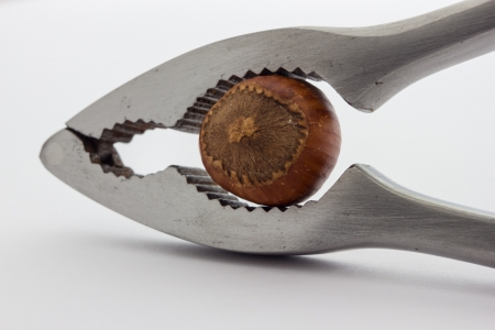 A close up view of a nutcracker crushing a hazelnutの写真素材