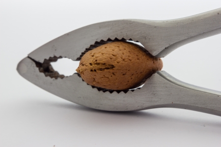 A close up view of a nutcracker crushing a almondの写真素材