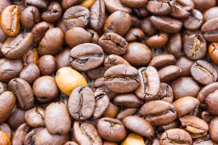 Close up view of same coffee beansの写真素材