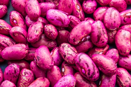 Close up view of same kidney beansの写真素材