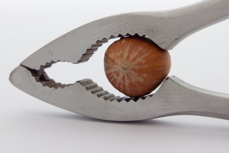 A close up view of a nutcracker crushing a hazelnutの写真素材