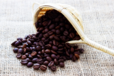 Close up view of same coffee beansの写真素材