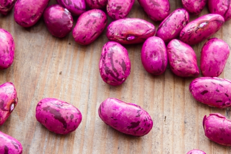 Close up view of same kidney beansの写真素材