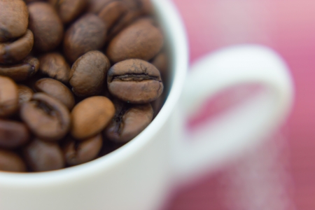 Close up view of same coffee beansの写真素材