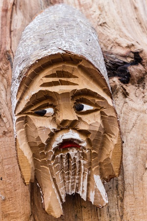 Leprechaun mascot of woodの写真素材
