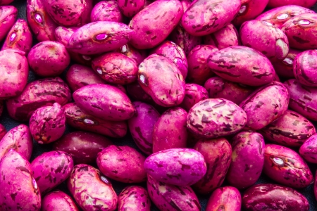 Close up view of same kidney beansの写真素材