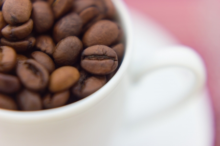 Close up view of same coffee beansの写真素材