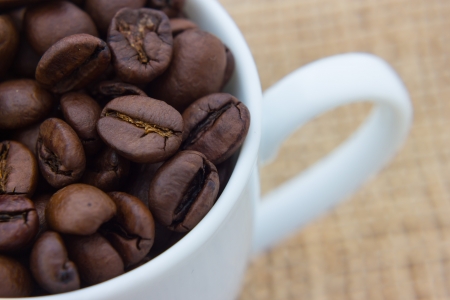 Close up view of same coffee beansの写真素材