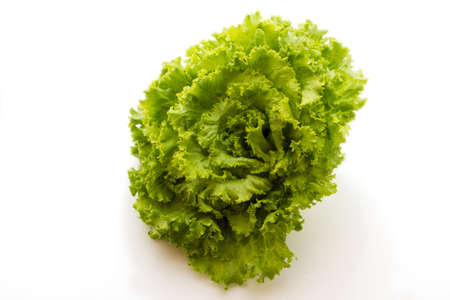 Salad with white backgroundの写真素材