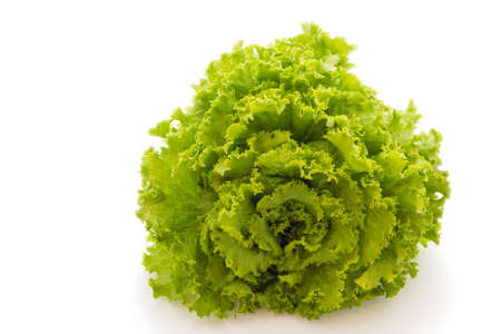 Salad with white backgroundの写真素材