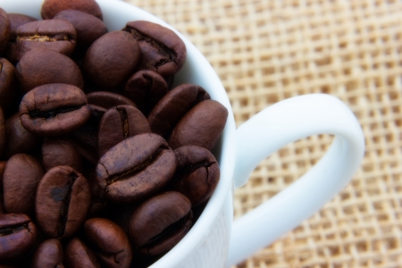 Close up view of same coffee beansの写真素材