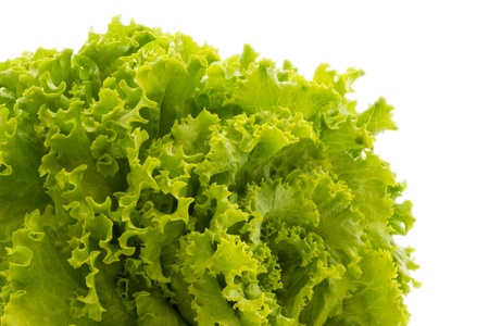 Salad with white backgroundの写真素材