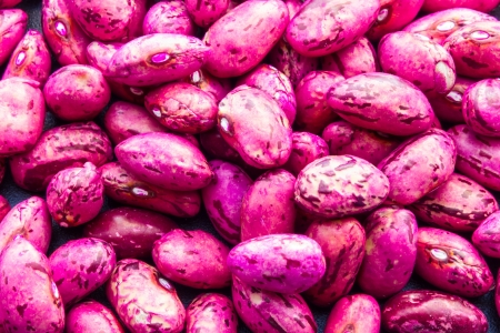 Close up view of same kidney beansの写真素材
