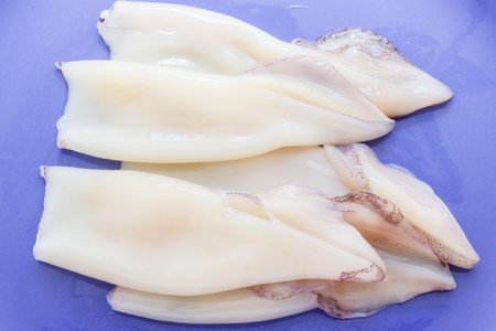 Uncooked cuttlefishの写真素材