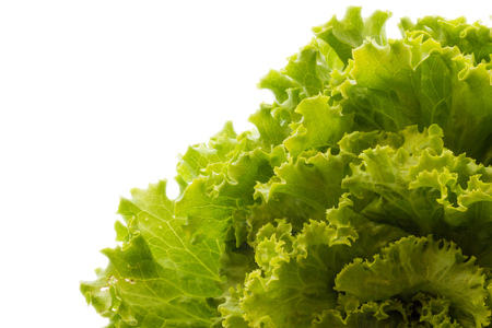 Salad with white backgroundの写真素材