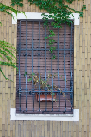 Windows with iron bars の写真素材