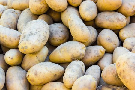 Potatoesの写真素材