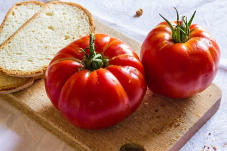 Bread with tomato and basilの写真素材