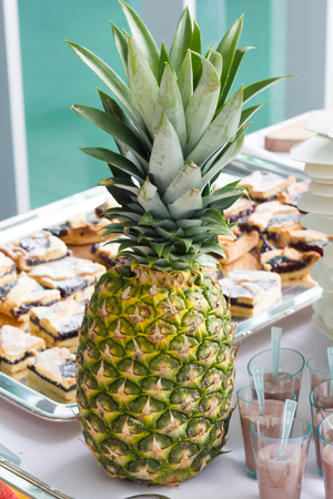 pineappleの写真素材