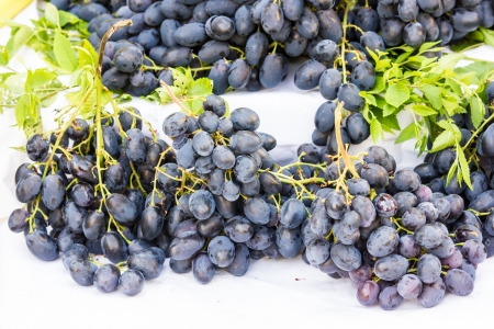 black grapesの写真素材