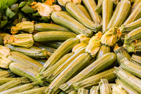 zucchiniの写真素材