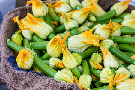 Zucchini flowersの写真素材