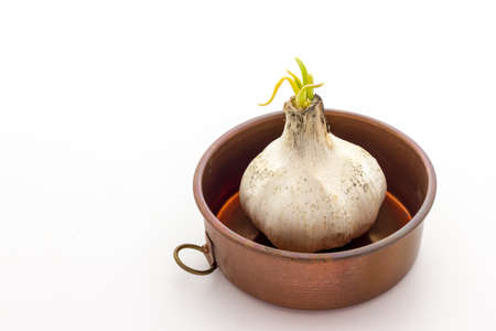 Garlicの写真素材