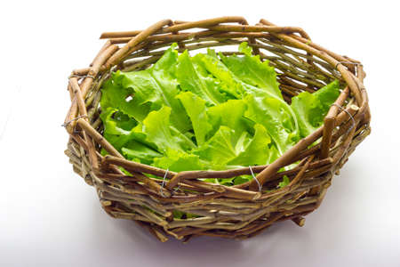 Basket of Saladの写真素材