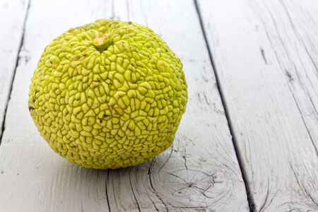 Monkey brain fruitの写真素材