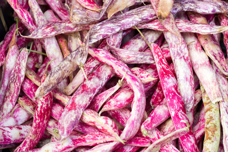 Red beans borlottiの写真素材