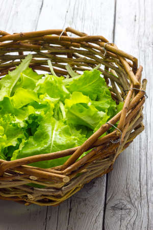 Basket of Saladの写真素材