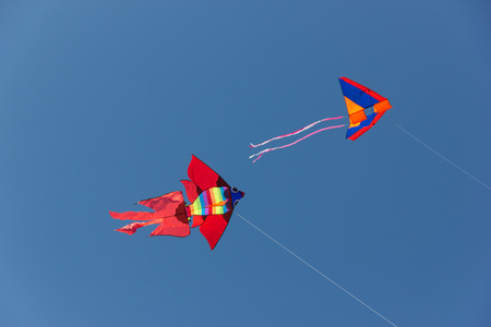 Beautiful kites in a kite festivalの写真素材