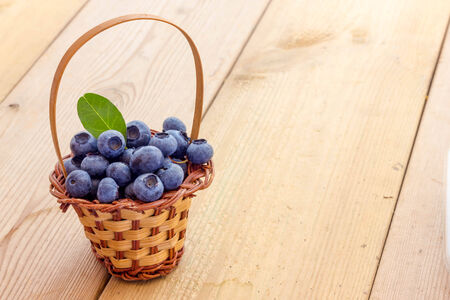 Blueberriesの写真素材