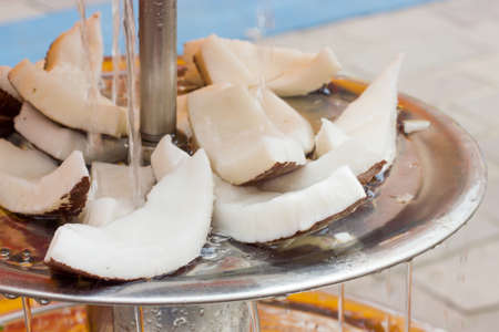 Coconut slicesの写真素材