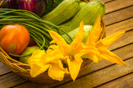 Zucchini flowersの写真素材