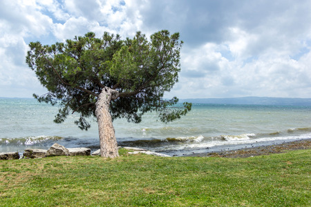 Bolsena City Lazio Italyの写真素材