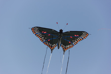 Beautiful kites in a kite festivalの写真素材