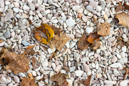 Gravelの写真素材