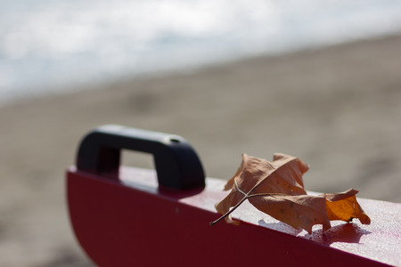 Autumn on the beachの写真素材